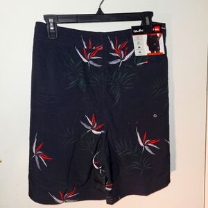 Quicksilver shorts